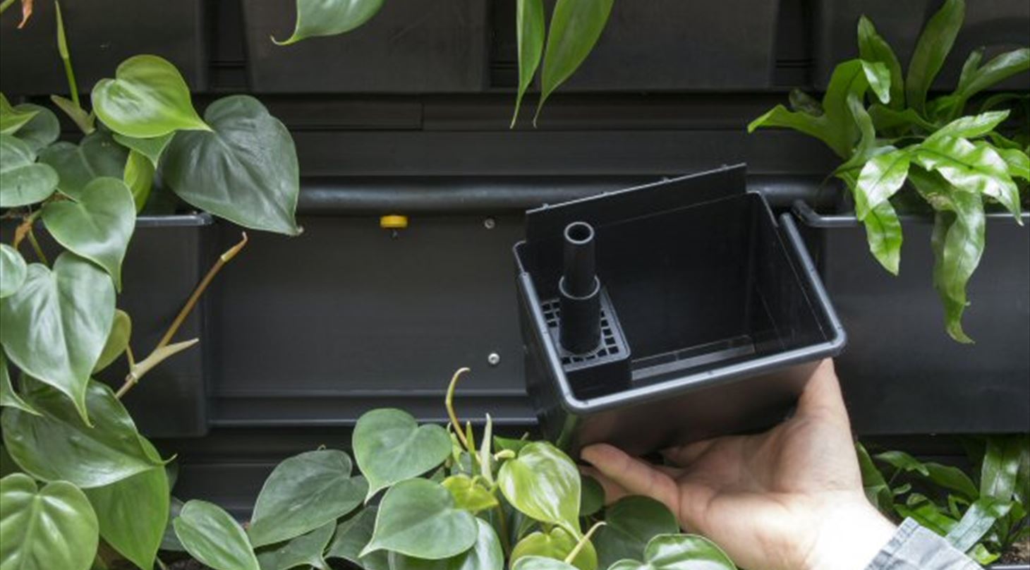 planter i 3D-printede sorte kasser